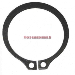 VARIATOR CLIPS
